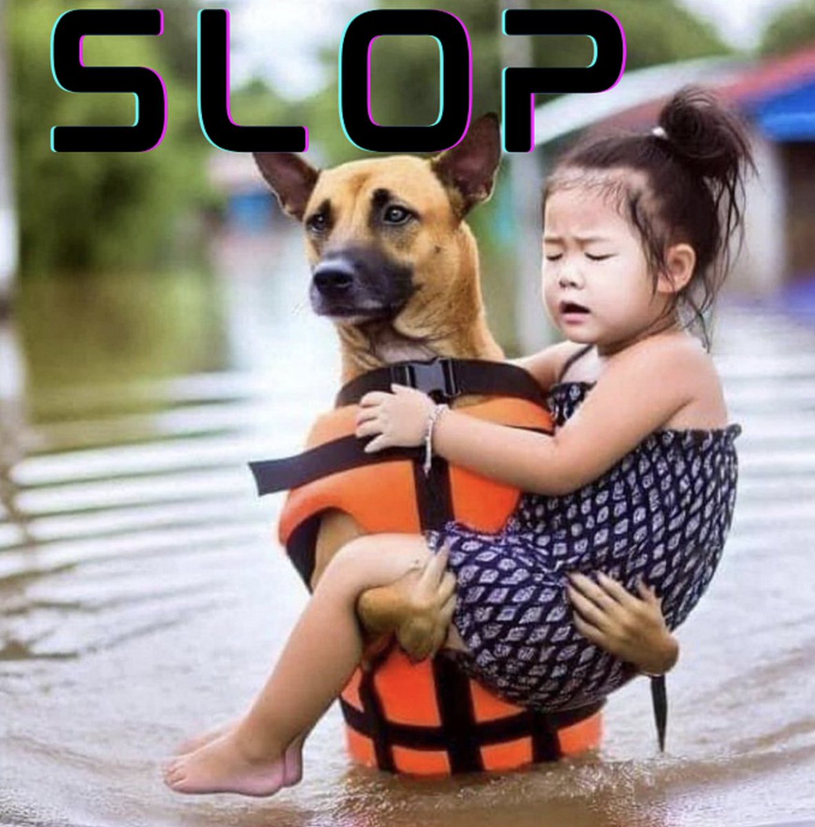 ChatGPT has been busy.