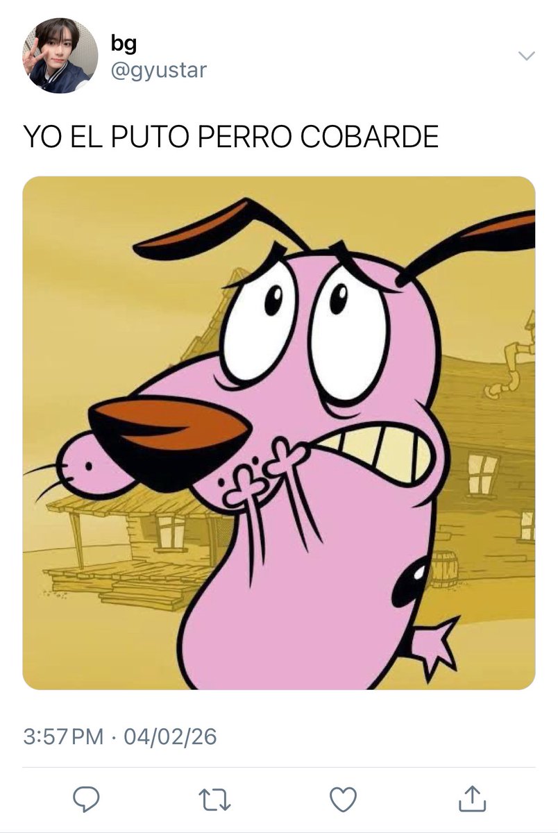 perritomp3's tweet image. 