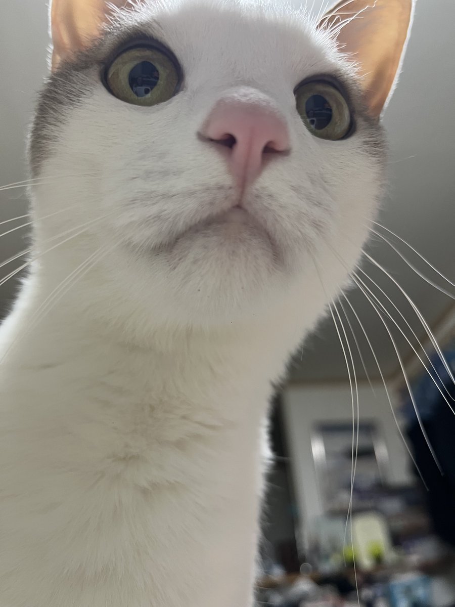 月曜日がやってきた
今日はれんこん肉詰め焼きなど野菜多めです
今日は都合によりいつもよりずっと早く出勤しなくちゃのです💦
スノボ🏂岩渕麗楽ちゃん頑張って〜📣(ˊᗜˋ*)و⚑"