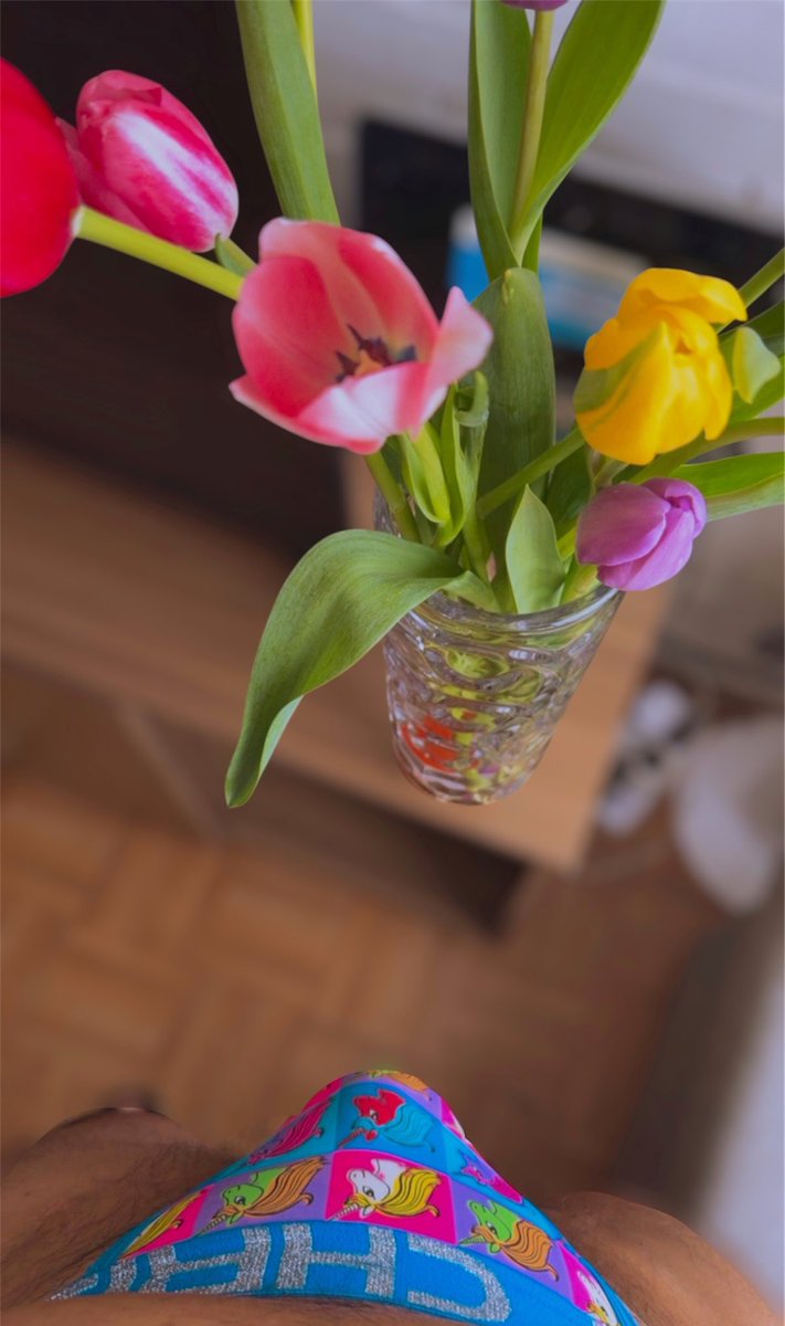 Tulipanes 🌷 ❤️