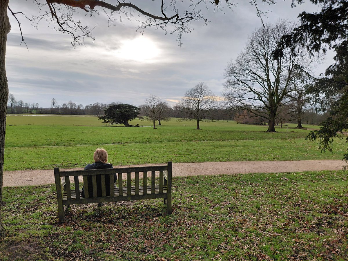 My Favourite Bench tweet media
