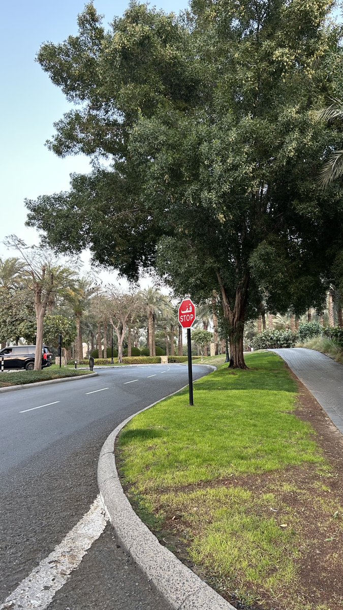 muhammed ali tweet media