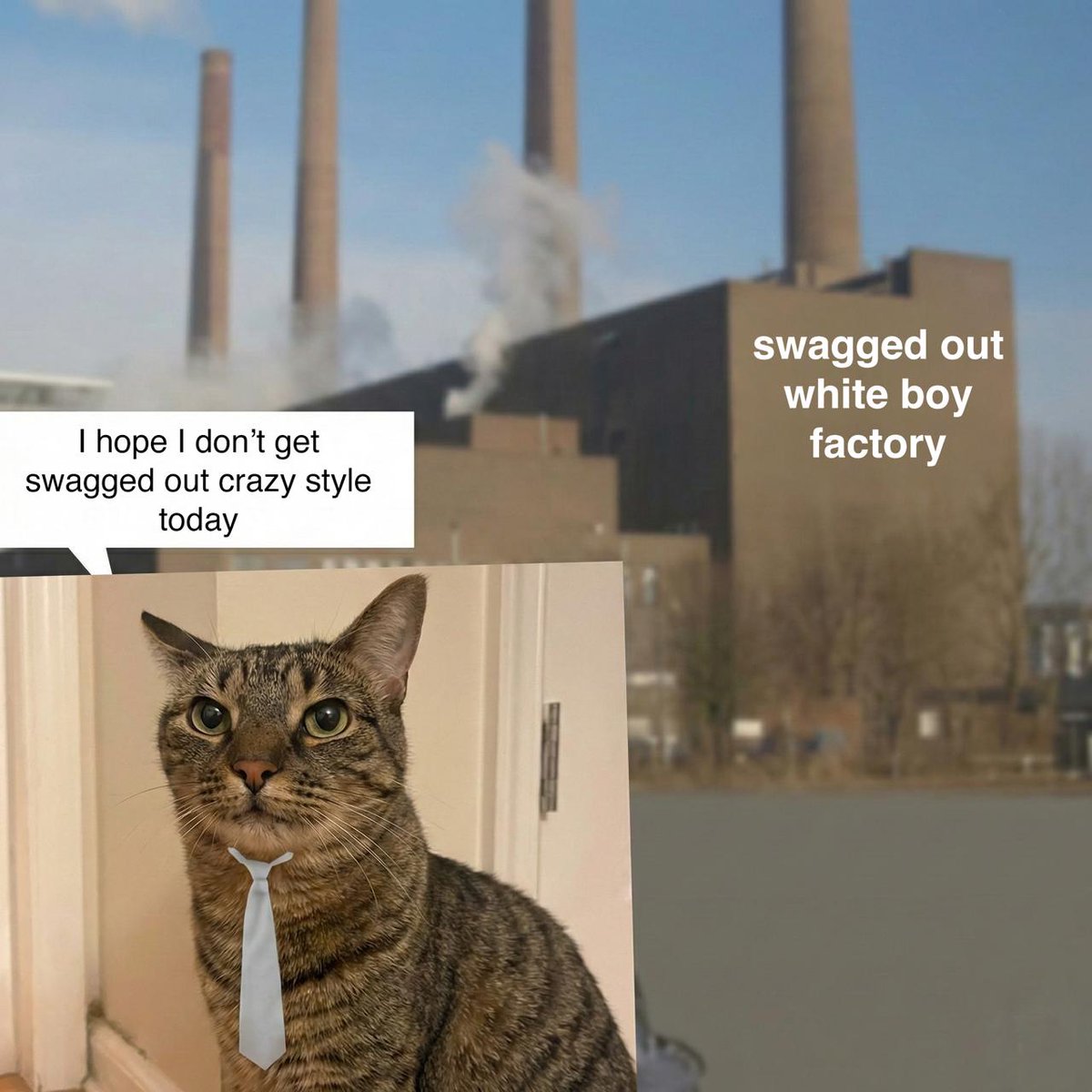 factory cat tweet media