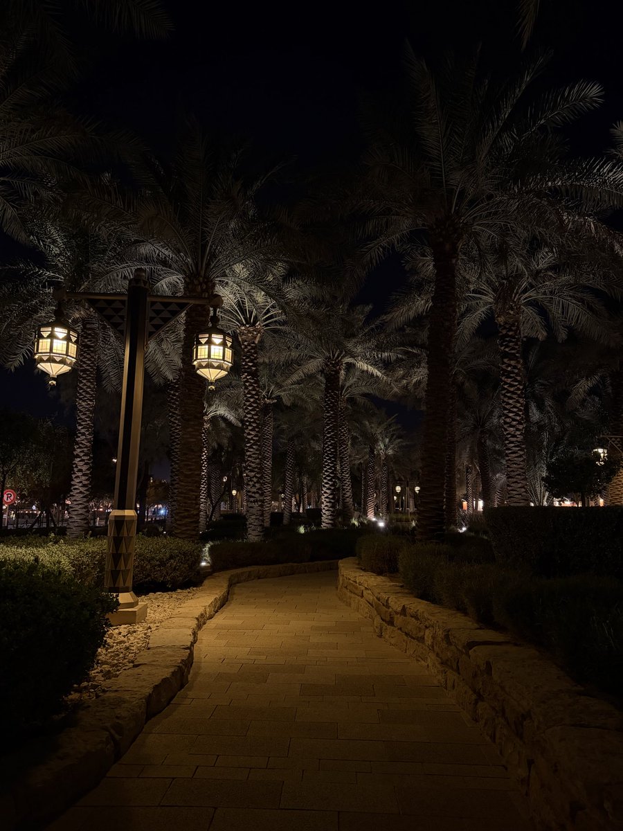 ‏نوف | كاتبة محتوى tweet media