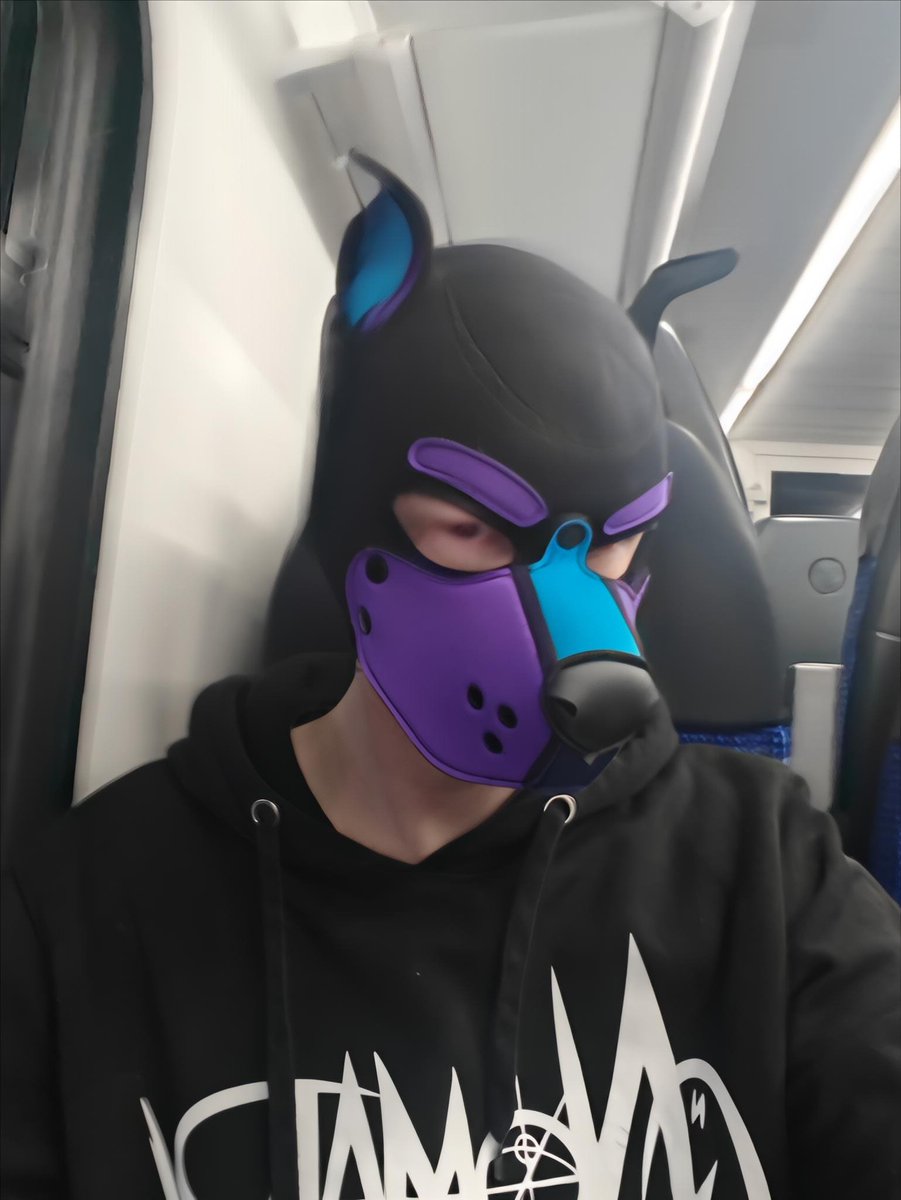 Pup Meta tweet media