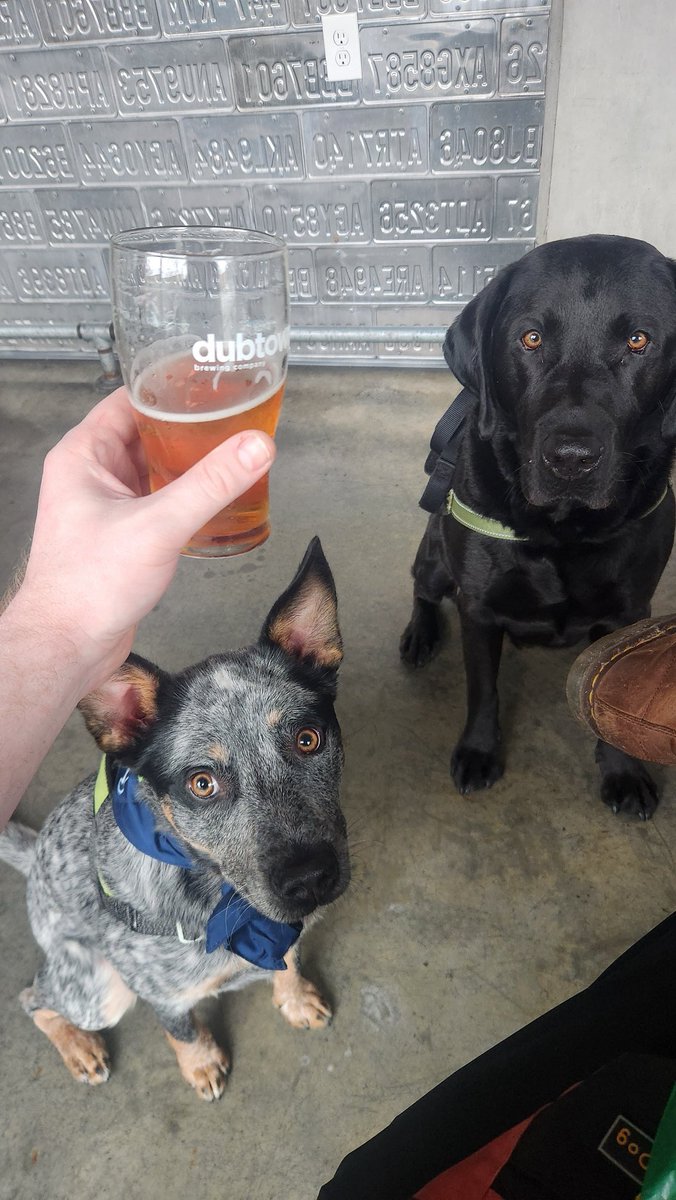 Liver training for the game.