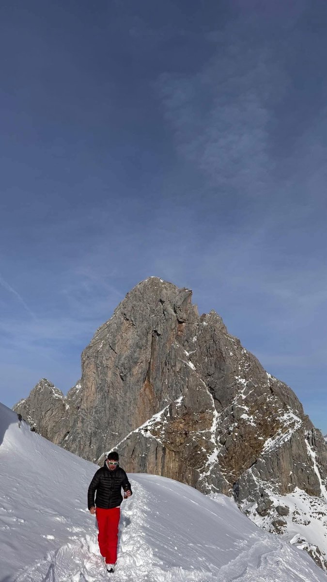 David Stretton-Downes tweet media