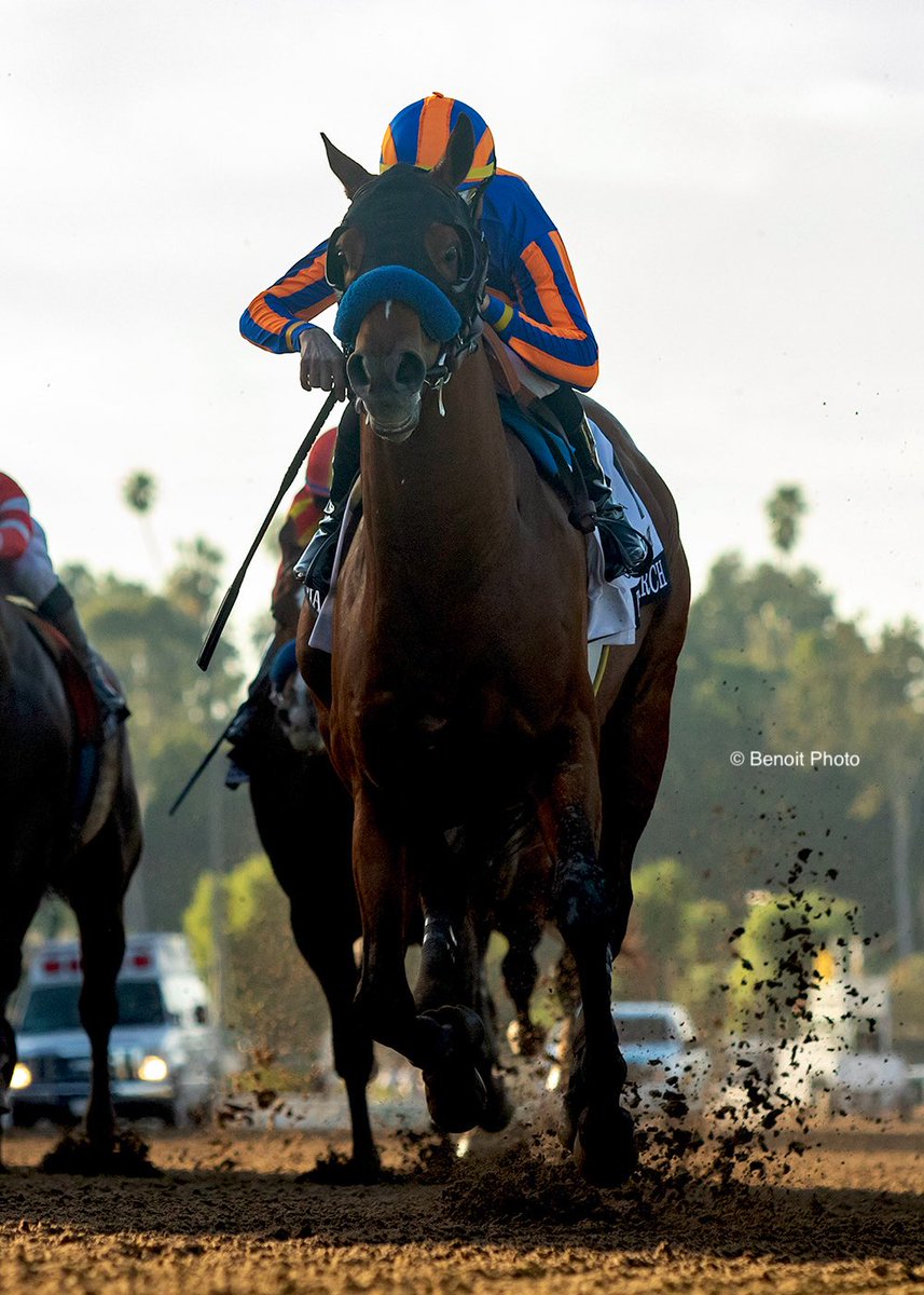 Benoit Photo tweet media