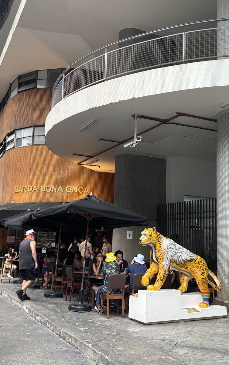 tesfayelz's tweet image. after do show do zayn vocês já sabem onde vai ser né