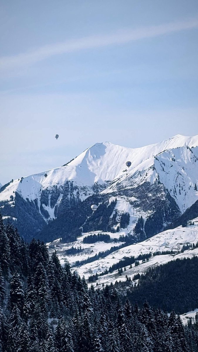 David Stretton-Downes tweet media