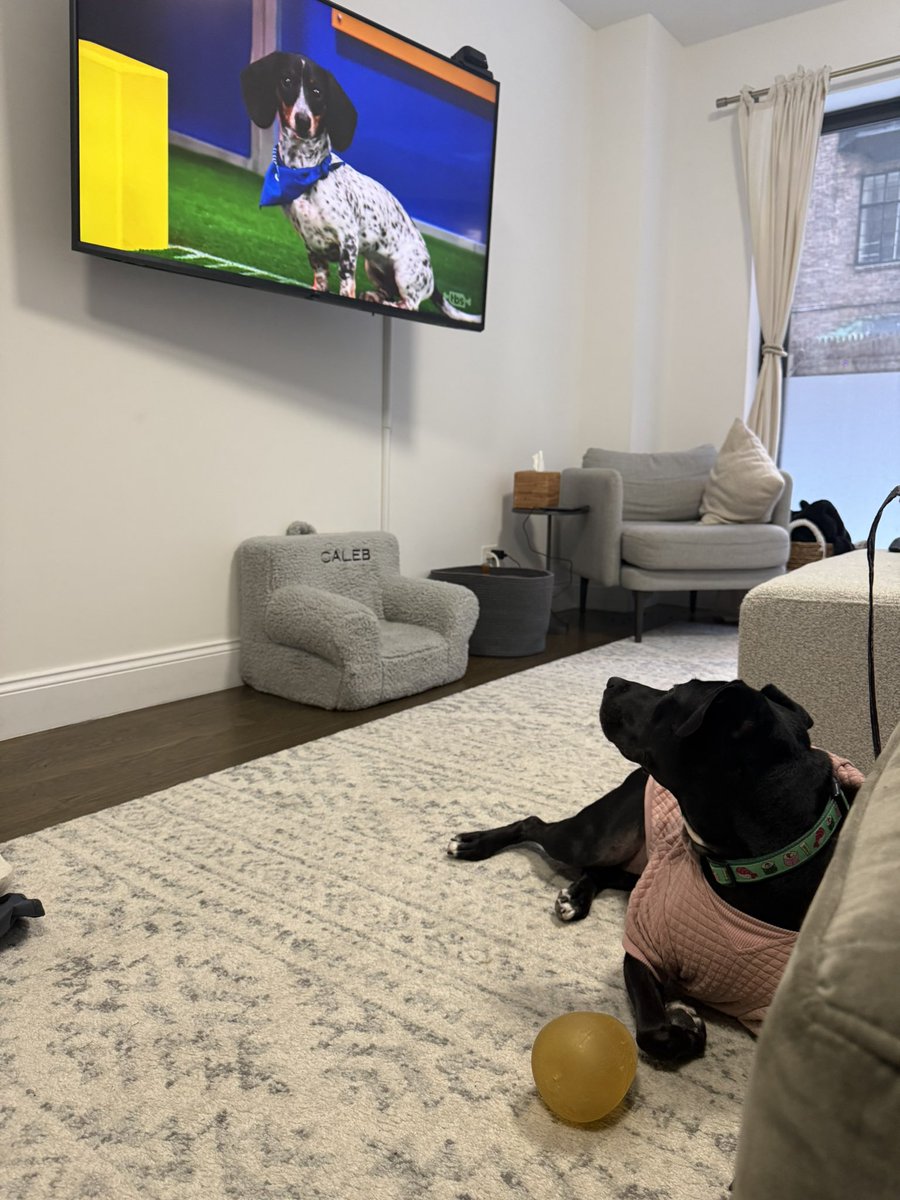 Update: Gladys is locked in watching the #PuppyBowl like she personally knows every dog on the field. Truly her Super Bowl.