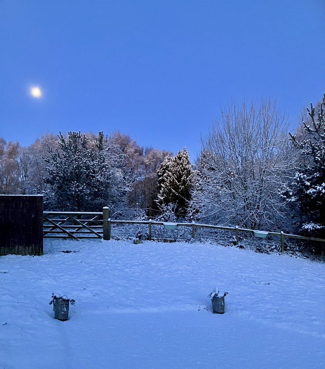 Kate Knighting 😷💙 tweet media