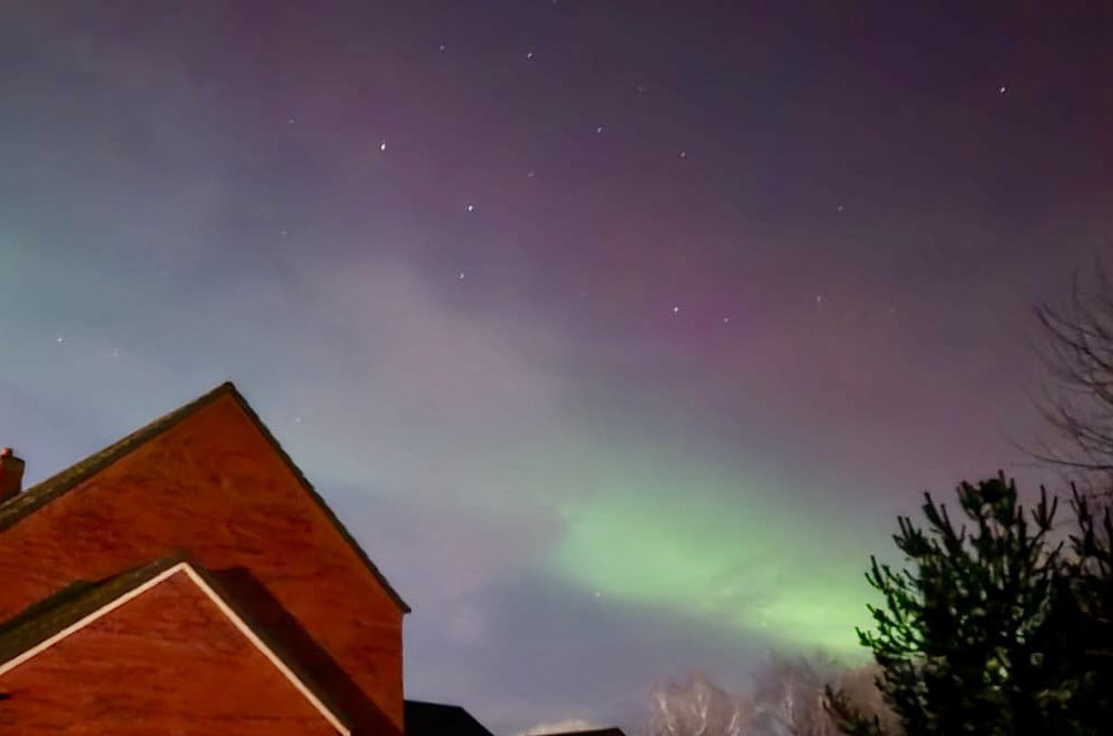 Kate Knighting 😷💙 tweet media