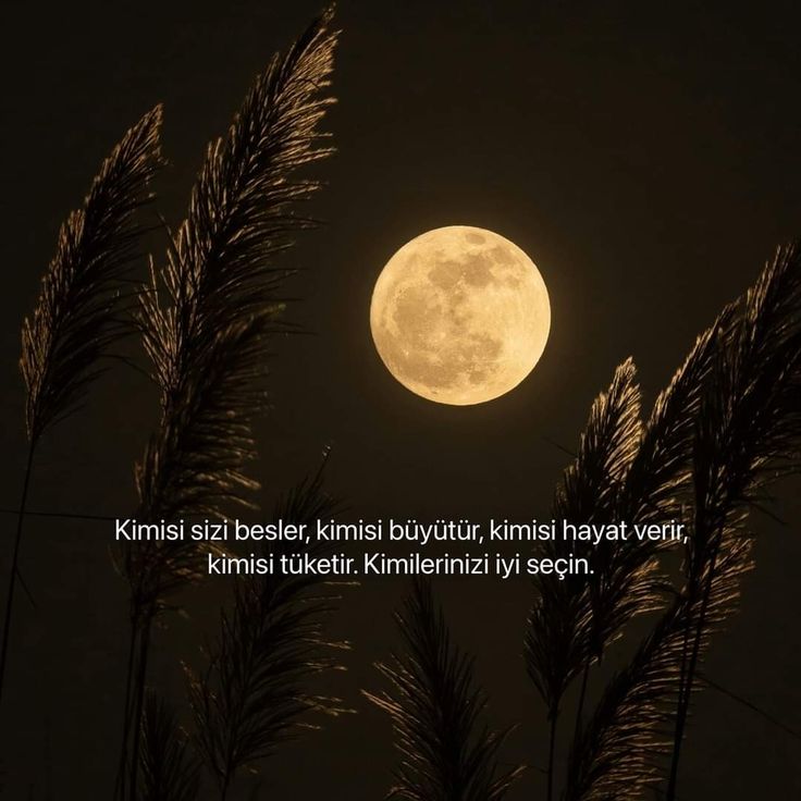 sair1923's tweet photo. Bana tuzak mı önünü alamadığı tekrarlı hatalar.
Bir benim kalbime mi yasak bu ilelebet aşklar.
Ben Tanrının kulu değil miyim.?
Alpaslan& 08/02/25
#GeceyeBirSöz #geceyebirsöz
#hata #yasak #ebedi #kul #aşk https://t.co/czHMDqKo1c