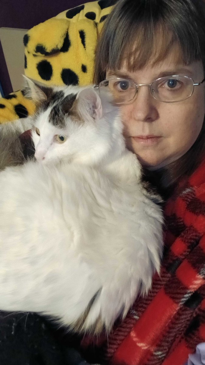 ChatWithDusty's tweet photo. Cuddling with Kevin Because It’s Cold and I’m in Pain
Description: It’s freezing, I’m in pain, and Kevin understood the assignment. Nothing but cat cuddles and warmth right now. 🐾💙 #CatCuddles #HealingVibes #ColdDays #dustiria https://t.co/BUQFgSp5vh