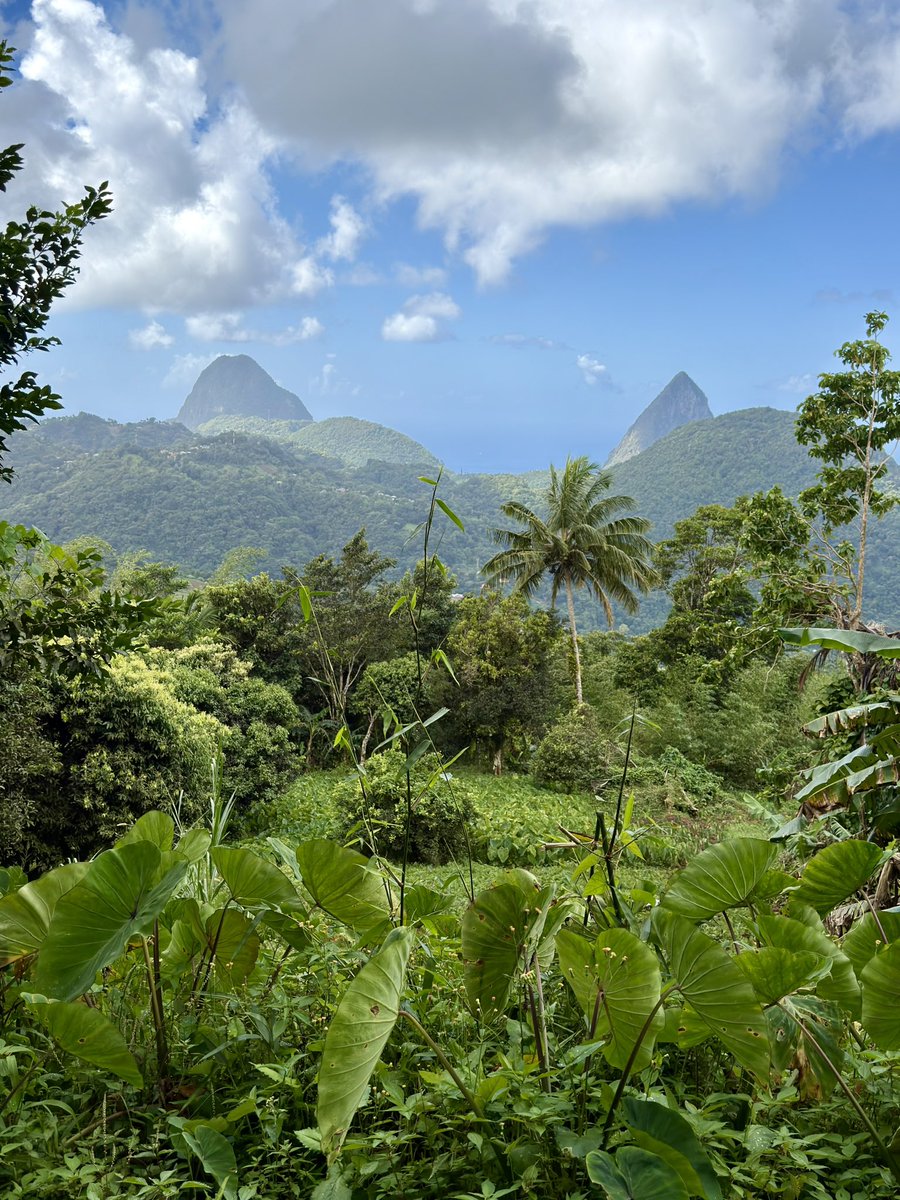 Rania // underflowR tweet media