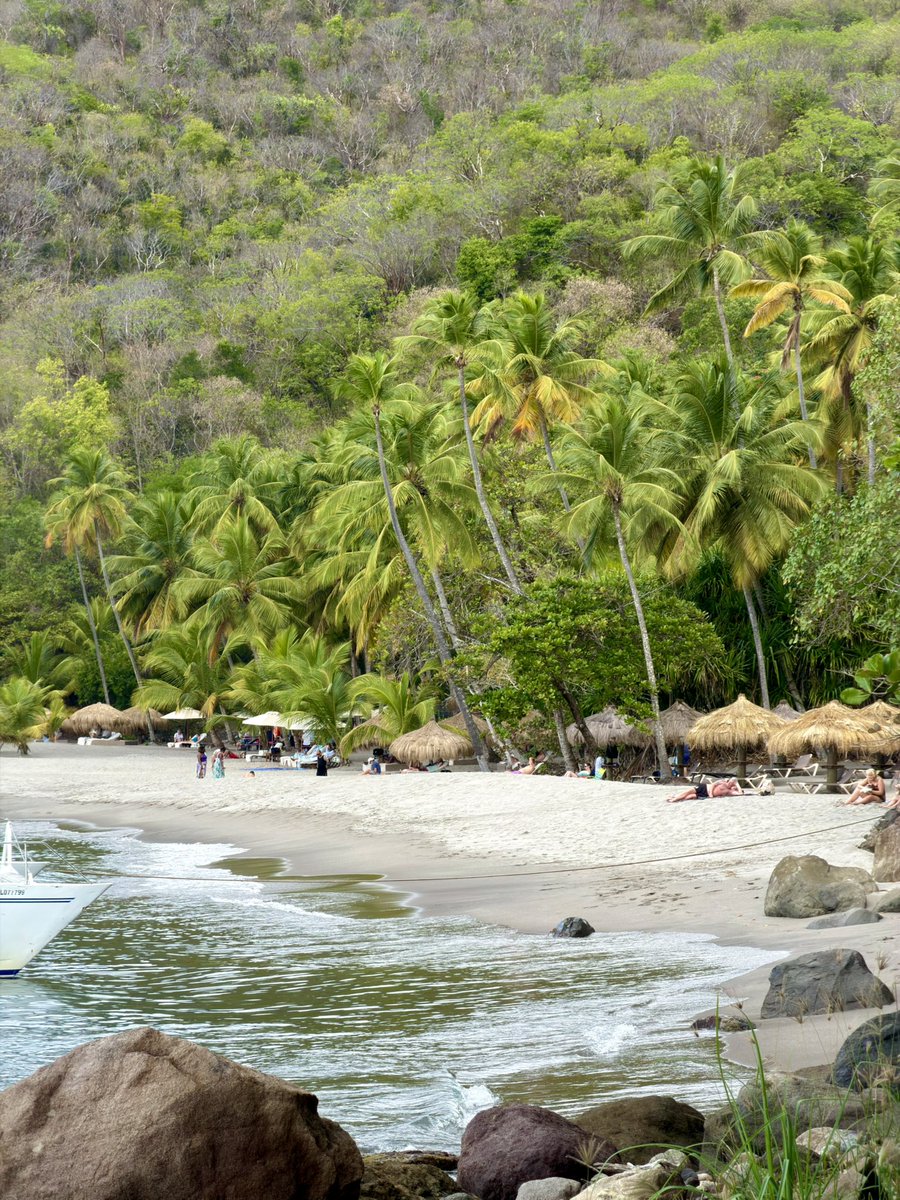 Rania // underflowR tweet media