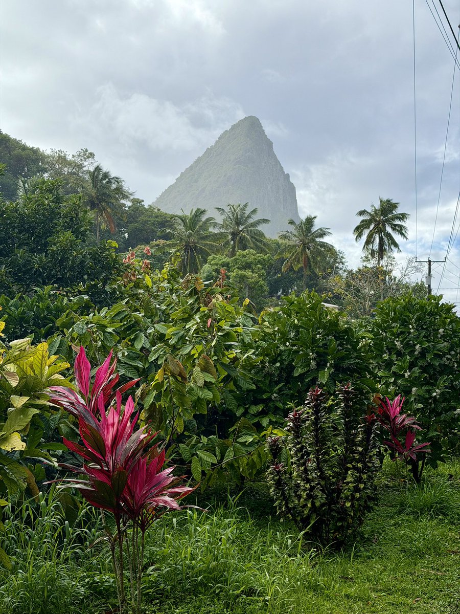 Rania // underflowR tweet media