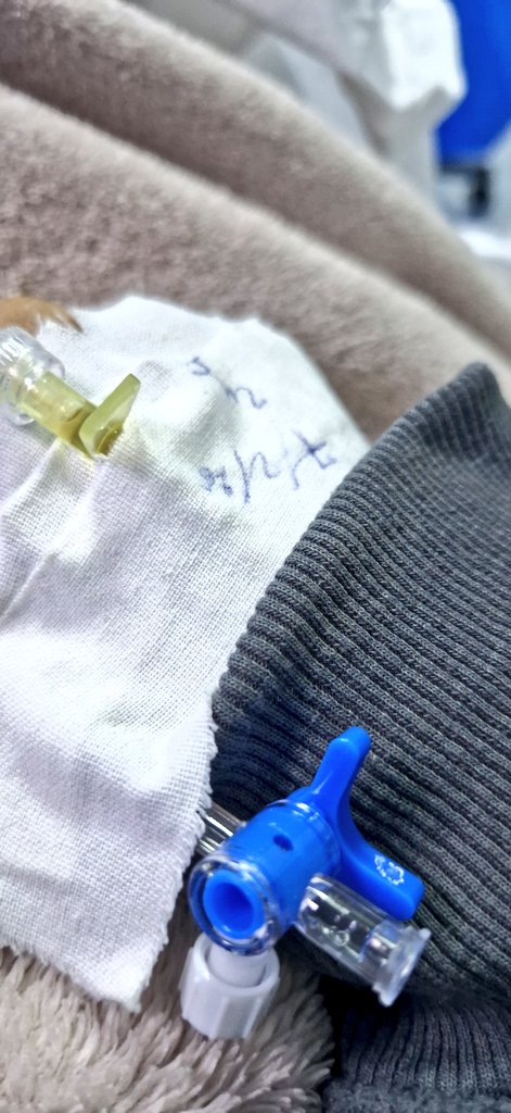 خــــلـــود tweet media