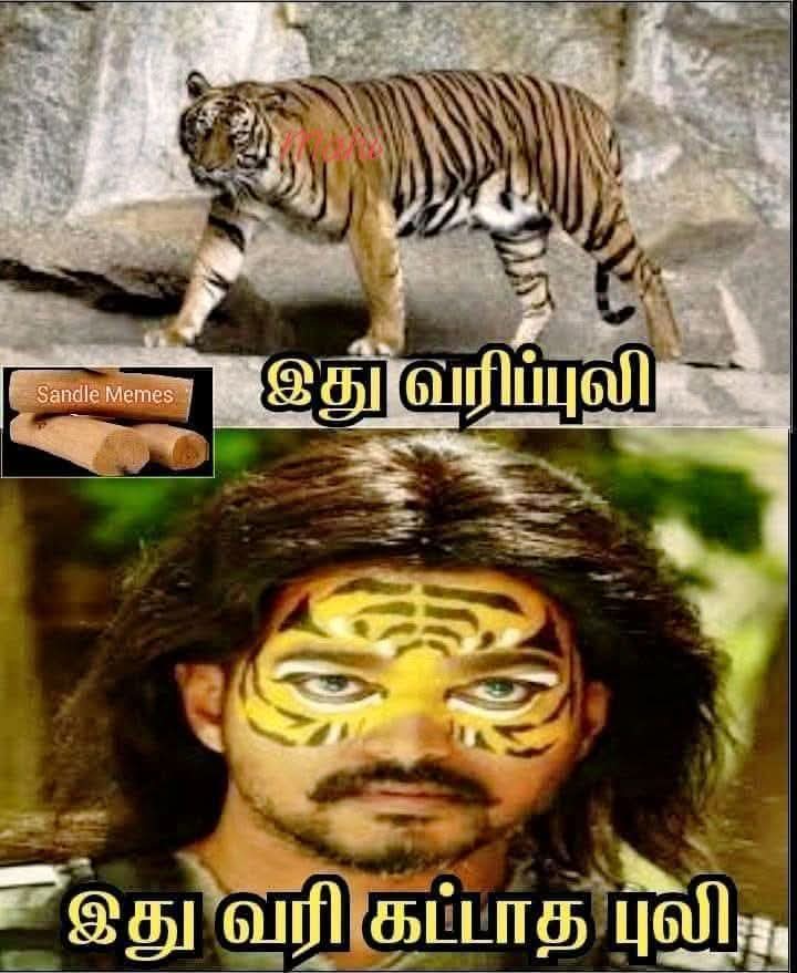 ARASU - SayYesToWomenSafety & AIADMK (@arasu_aiadmk) on Twitter photo 