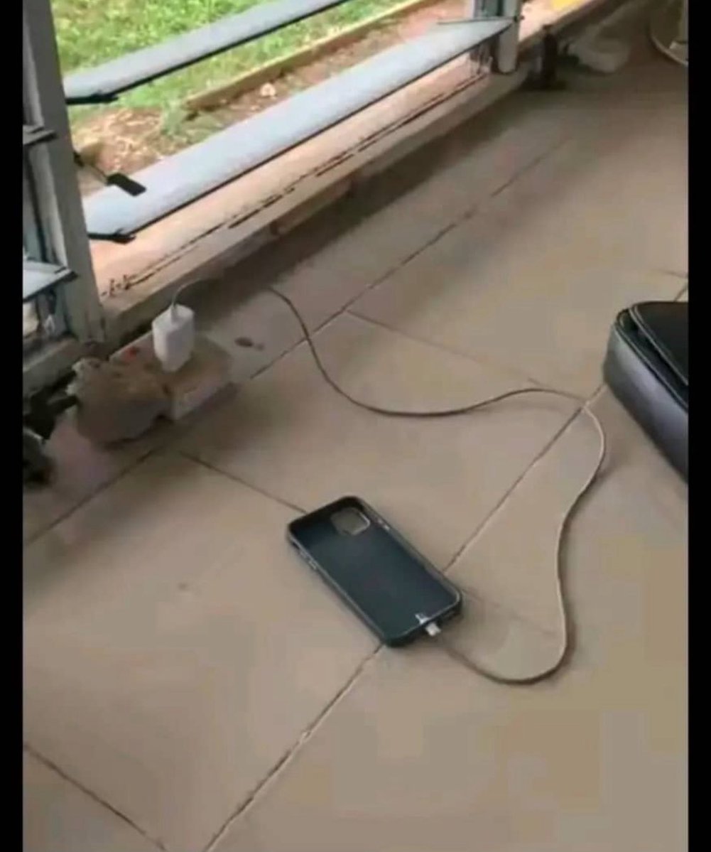 memeative's tweet image. Guess the state?