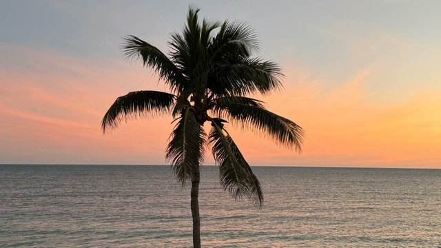 BestWesternKW's tweet image. Every #KeyWest sunset is one in a million! #keywestsunset #bestsunset #sundayvibes

#keywestflorida #keywestfl #floridakeys #visitkeywest #partyinkeywest