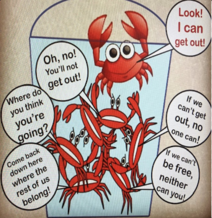 GergelyOrosz's tweet photo. Outside of the bubble of people who are forward-looking around the capabilities of new technology (eg LLMs) I see a LOT of crab mentality.

Where the few people using tech to work better/more innovative/faster are being told by their peers to stop it/it won't work etc.

Be aware. https://t.co/1qwdlCLc9A
