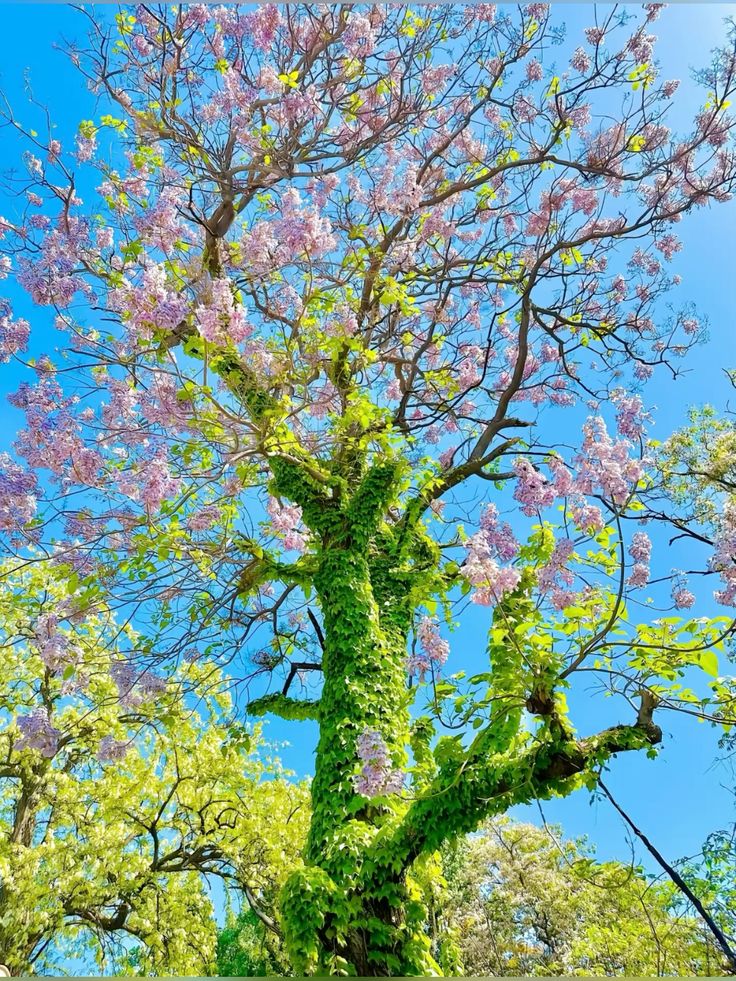 ᅠ ᅠ (@greendreaams) on Twitter photo 