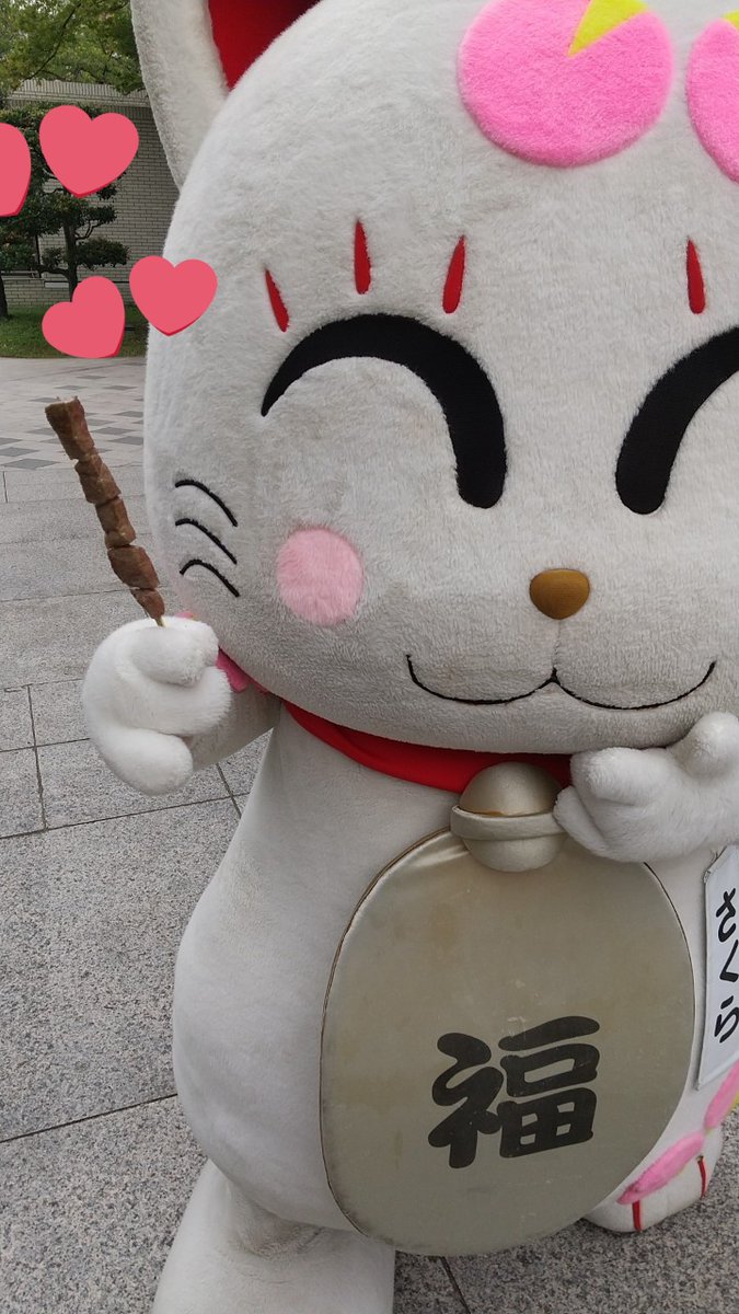 追い出し猫サクラ🍰(゜∇^🌸)公式 (@masa5539xyz) / Posts / X