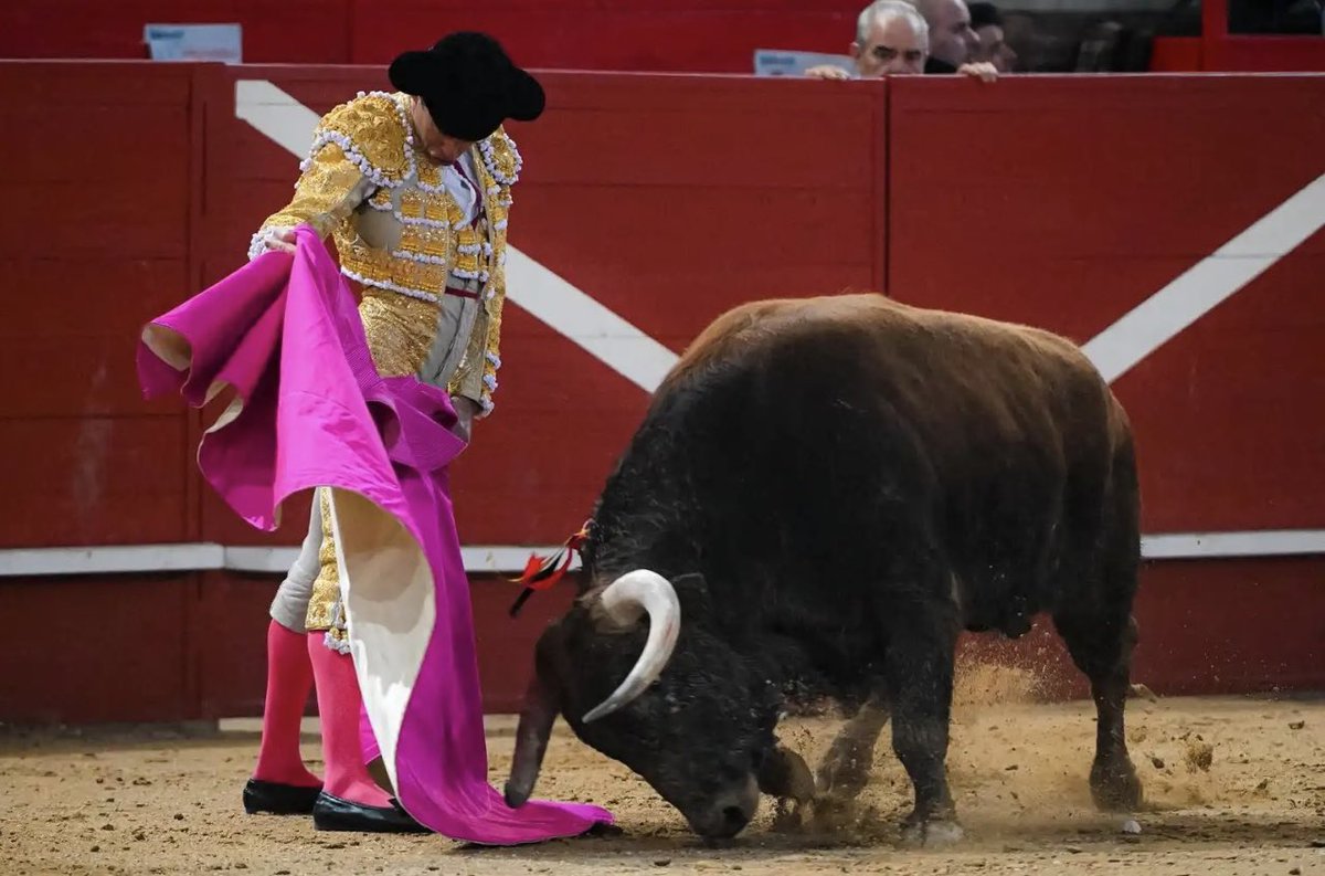 He leído que Pablo Aguado ha toreado muy bien con el capote hoy, pero me he encontrado con esta fotografía de Juan Ortega.