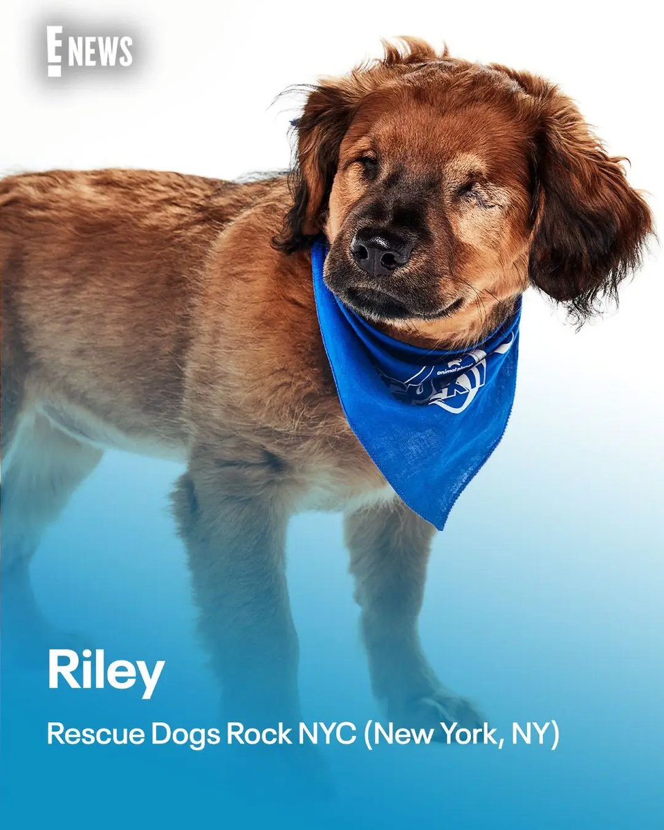 I just want Riley to know I love her. And I hope life is forever good to her. 

#PuppyBowl