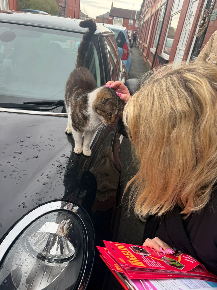 Emily Moore tweet media