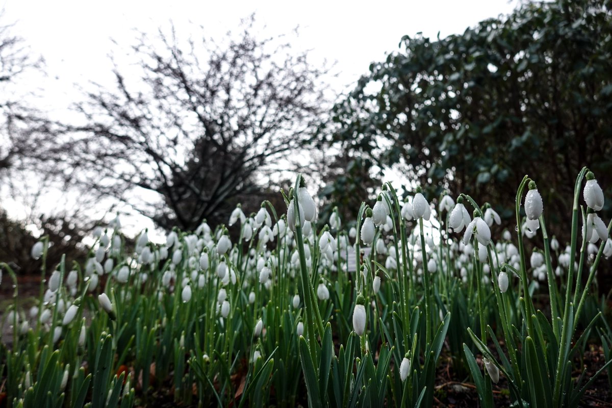 Martin Paterson 🏴󠁧󠁢󠁳󠁣󠁴󠁿 tweet media