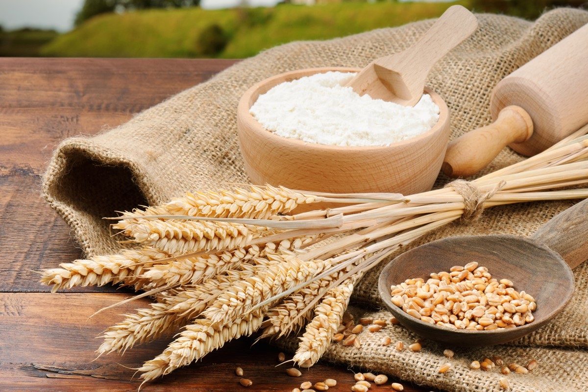 🌾 Un İhracatı Üzerine Stratejik Bir Hatırlatma
Türkiye, uzun süredir küresel ölçekte önemli bir un ihracatçısı konumunda. Bu başarı, güçlü sanayi altyapısı ve ticari organizasyon kabiliyetimizin bir göstergesi. Ancak son yıllardaki veriler, hammaddeye dayalı ihracat modellerinin