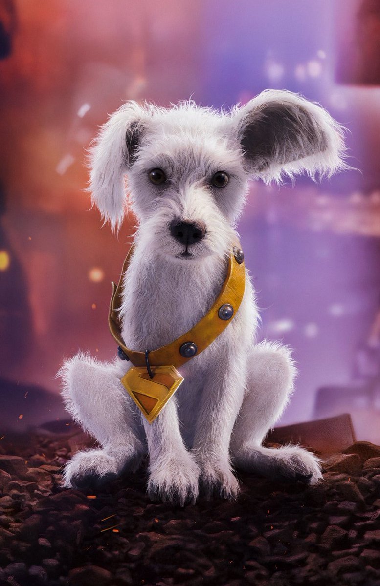 CultureCrave's tweet image. New poster for Baby Krypto in ‘Supergirl’ 🐶