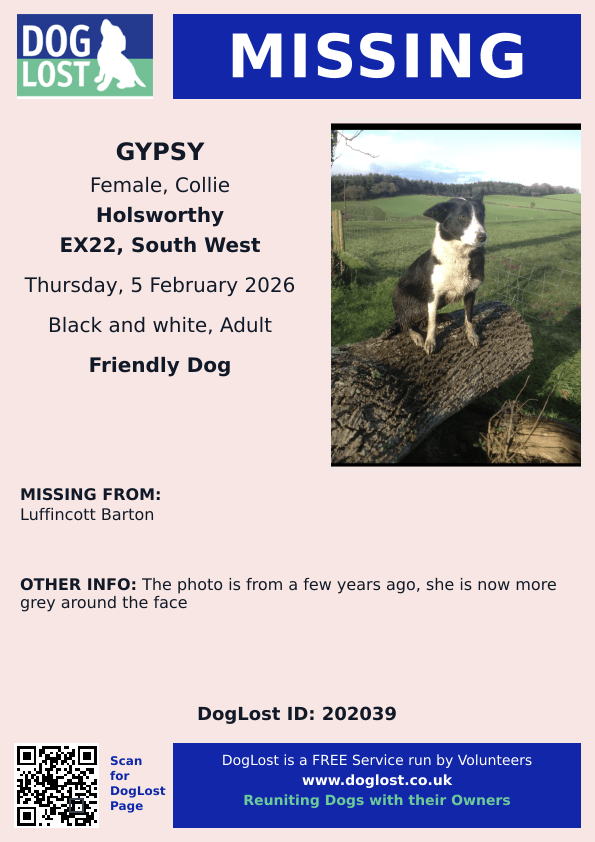 MissingPetsGB's tweet photo. 🐕 Please share to help find  GYPSY, #missing from Luffincott Barton, Tetcott, Holsworthy #Devon #EX22 since Thursday 5 February 2026
Gypsy is MICROCHIPPED 
The photo is from a few years ago, she is now more grey around the face. Please contact if seen.
#stolendoghour https://t.co/35MOqiDS6j
