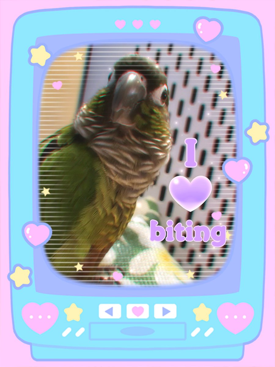 Pepper and Pals (@peppernpals) on Twitter photo 