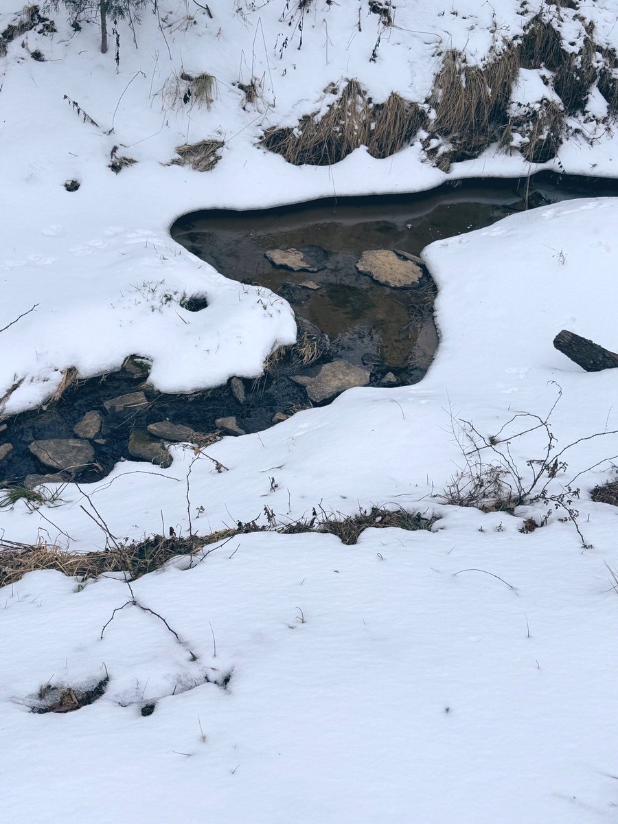 StrikeBelow's tweet image. Went out today to pick some stones from our land to grind so I can use in my artwork. Might get real weird later this year and start making my own pigments too.