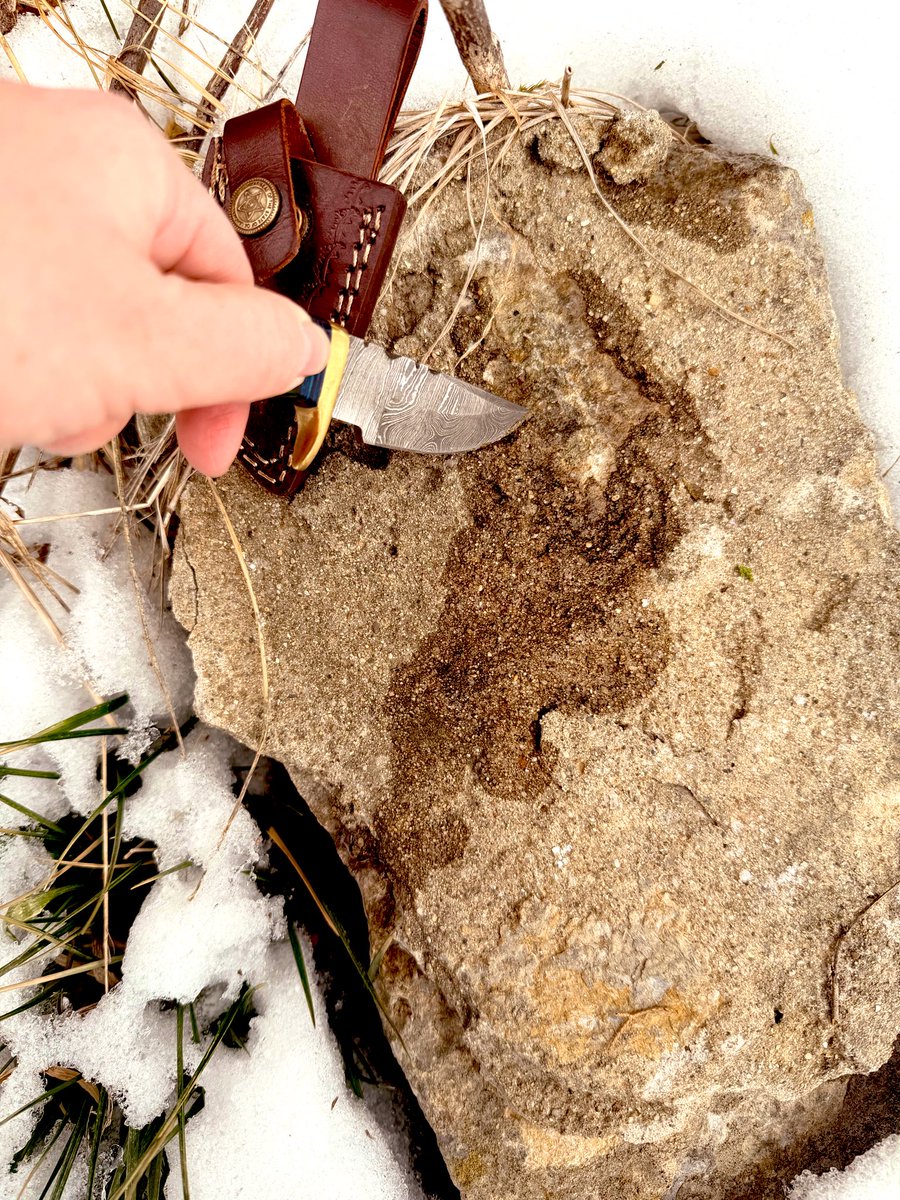 StrikeBelow's tweet image. Went out today to pick some stones from our land to grind so I can use in my artwork. Might get real weird later this year and start making my own pigments too.