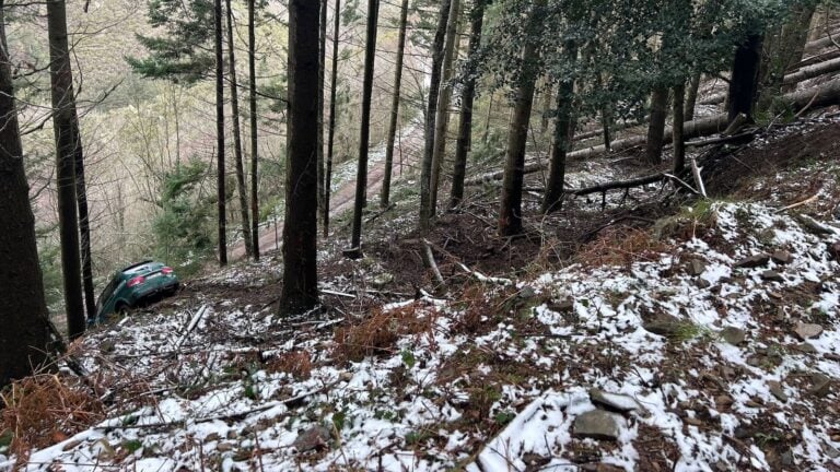 Un coche de #AgentesForestales se despeña por un barranco hasta chocar contra un árbol.
El coche siniestrado es un vehículo todocamino con 18 años de antigüedad, que carece de bloqueo diferencial.
En el accidente no ha habido que lamentar heridos.
#AAFFMM
nuevecuatrouno.com/2026/02/08/suc…