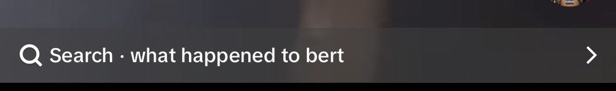 bert 💔 tweet media