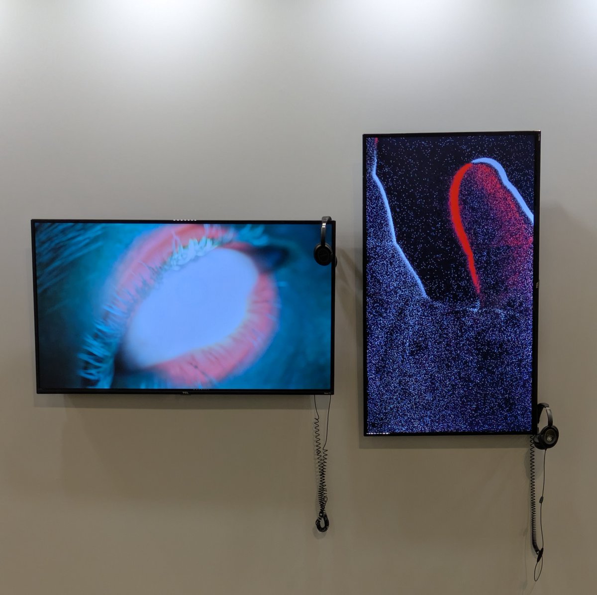 Luba Elliott tweet media