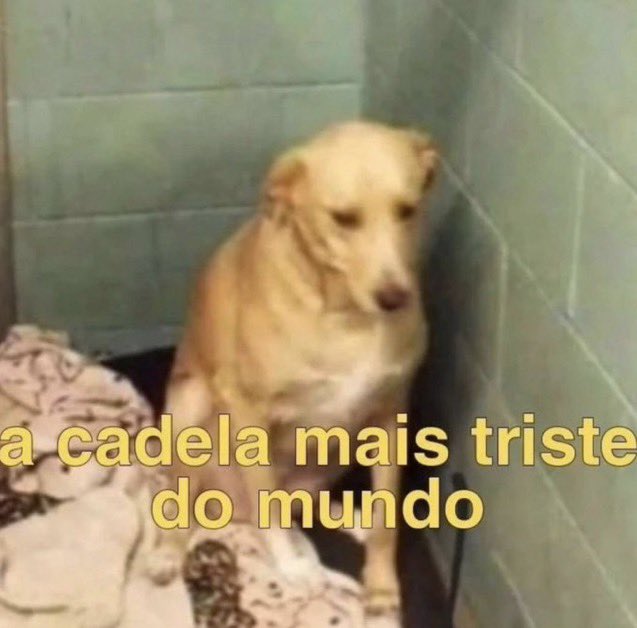 ficando off das redes pq estou com inveja das pessoas curtindo o Carnaval enquanto estou em casa