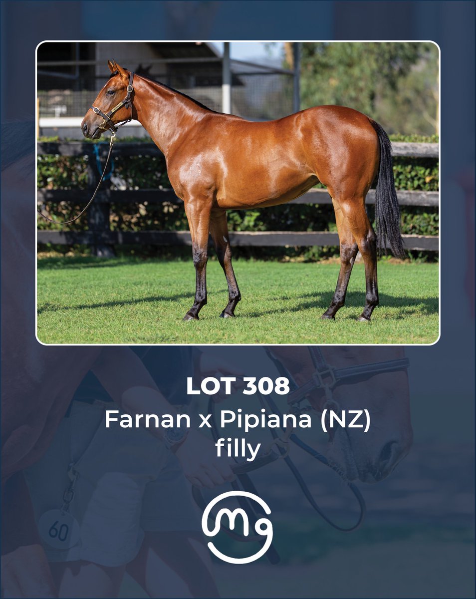 Mullaglass Stud tweet media