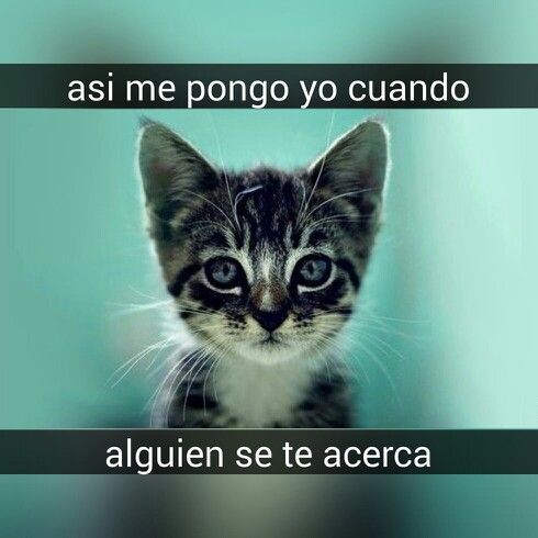 joKki#FF (@liljoki) on Twitter photo 