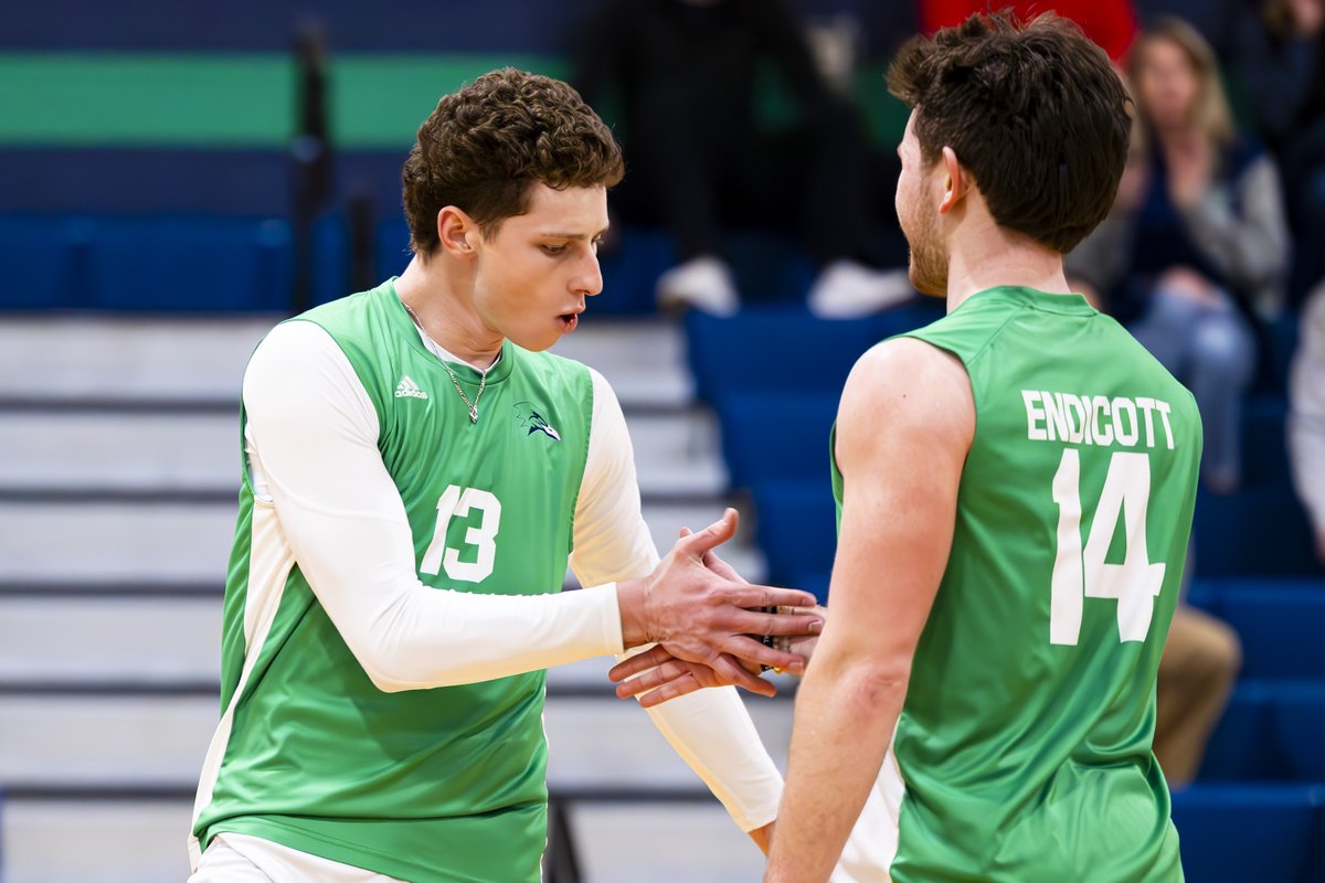 Endicott Athletics tweet media