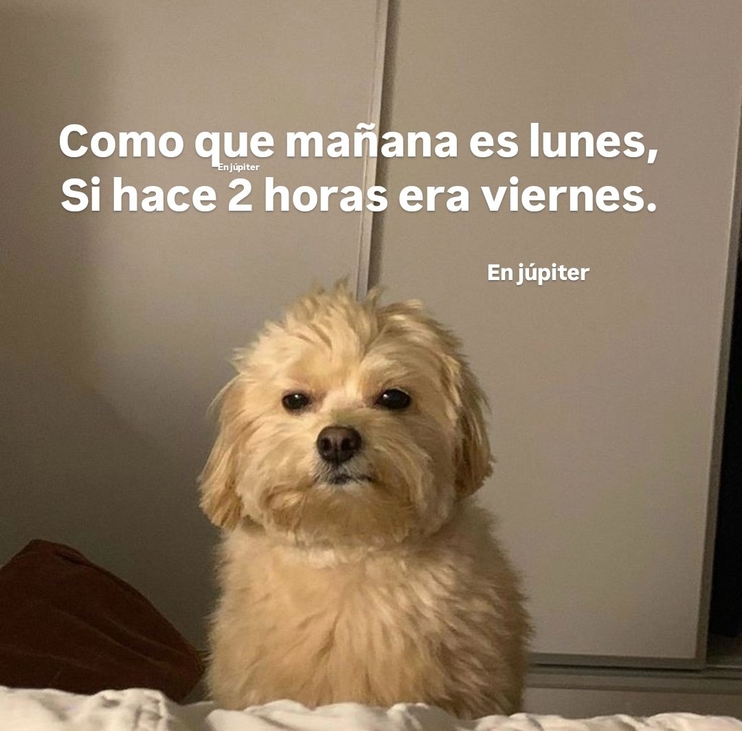 En Júpiter (@en_jupiter_) on Twitter photo 