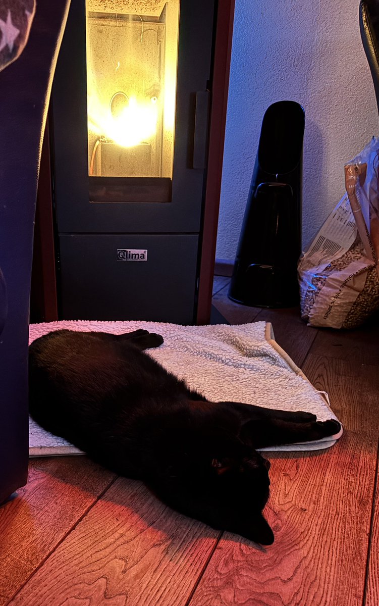 Erwin Prop 🇱🇧 🇺🇳❤️🖤 tweet media