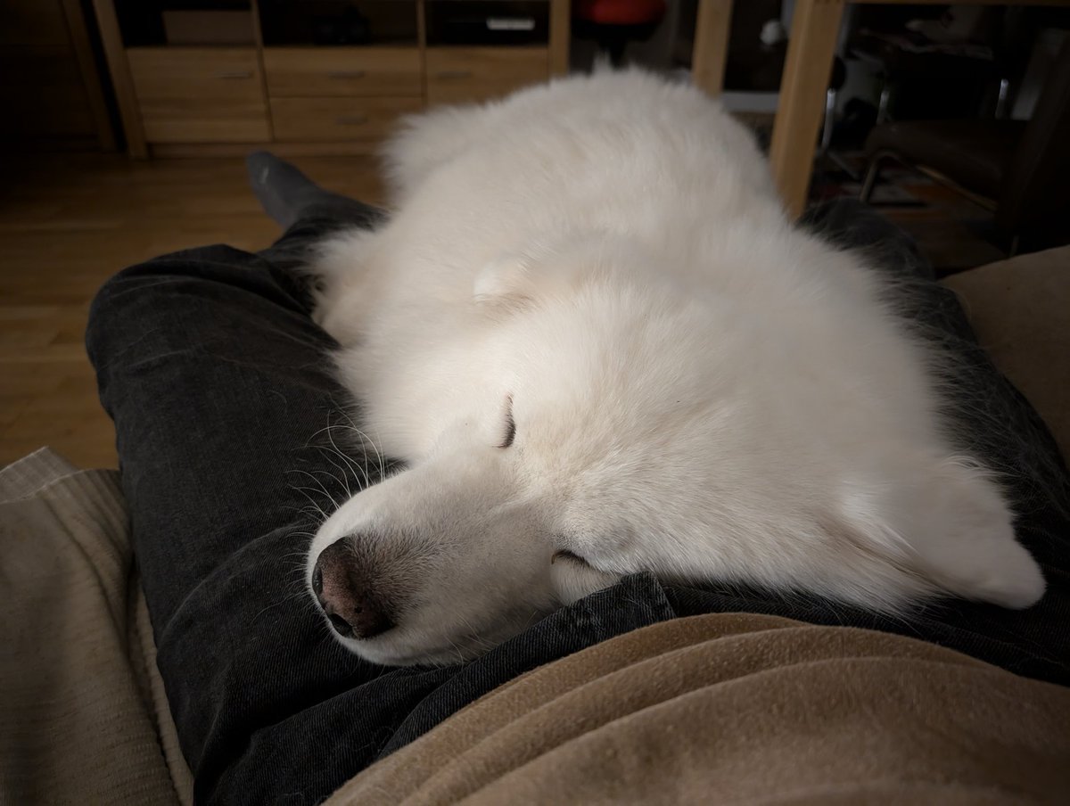 Sam Constantine tweet media