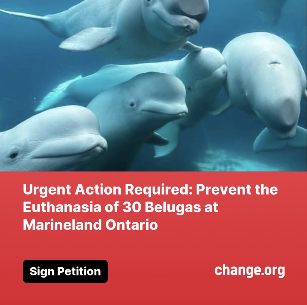 Lisa Paron tweet media